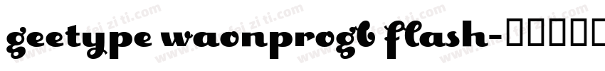 geetype waonprogb flash字体转换